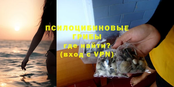 молекула духа Арсеньев