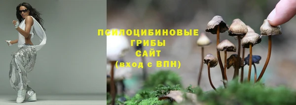 ECSTASY Ростов