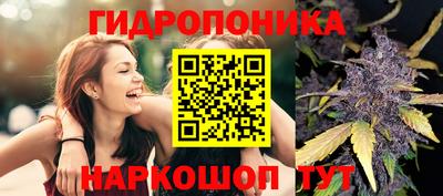 каннабис Бердск