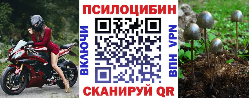 Псилоцибиновые грибы Cubensis  купить  цена  Асбест 