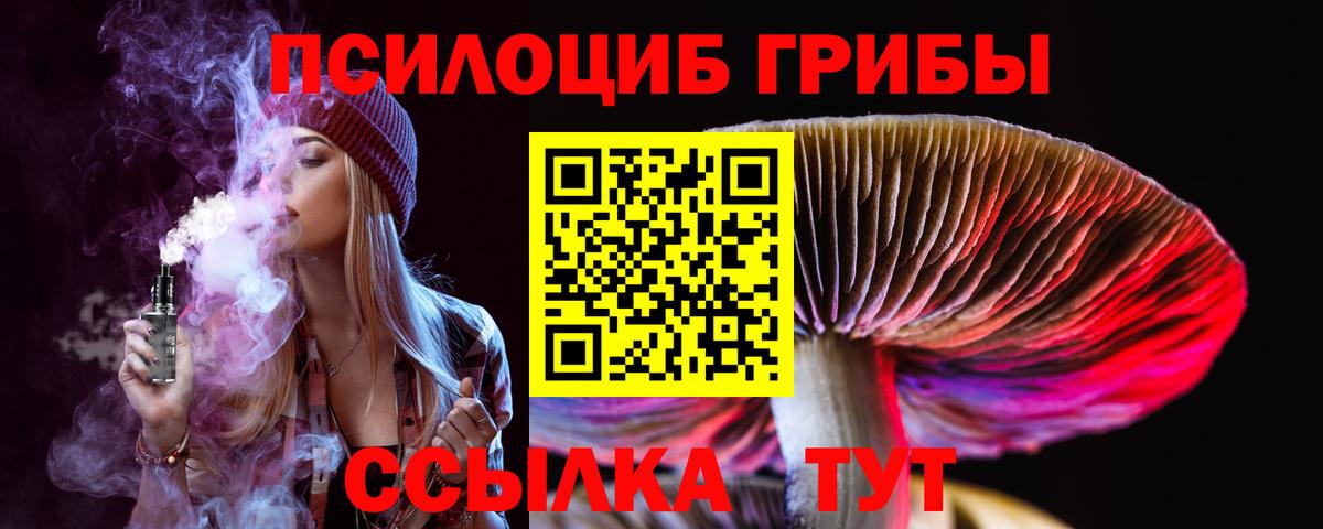 Асбест  Галлюциногенные грибы Psilocybine cubensis  Вход с VPN 